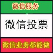 微信人工投票得第一,触手可及-微信第一排名投票吧