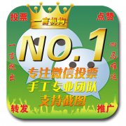 微信人工投票,安全拿冠军!-微信第一排名投票吧