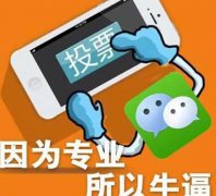 微信投票,微信人工投票价格是多少?-微信第一排名投票吧
