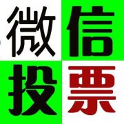 微信人工投票,微信人工投票价格是多少钱一条?-微信第一排名投票吧