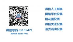 短信投票,微信刷票软件安全快捷活动刷票,选择我们-微信第一排名投票吧